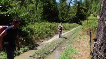 Bigfoot County (2012) download