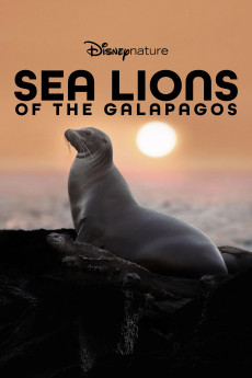 Sea Lions of the Galapagos (2025) download