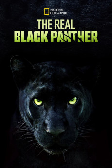 The Real Black Panther (2020) download